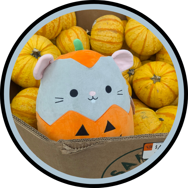 Mouse with Pumpkins 1.75in Buttons