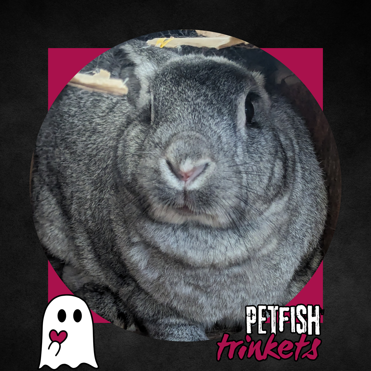 Trinket of Antifa the Grey Bunny